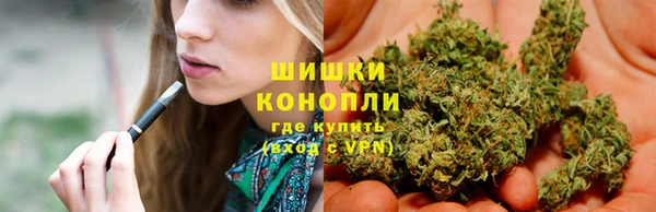 крисы Беломорск
