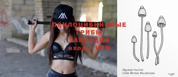 крисы Беломорск