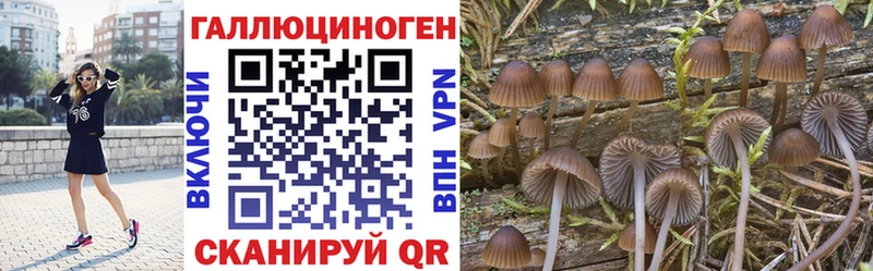 Галлюциногенные грибы GOLDEN TEACHER  Емва 