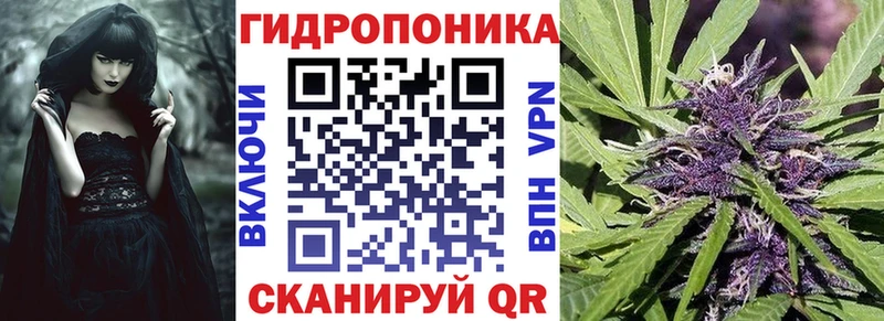 Бошки марихуана White Widow  мега tor  Емва 